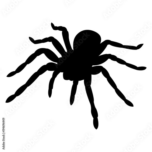 Vector image of spider silhouette