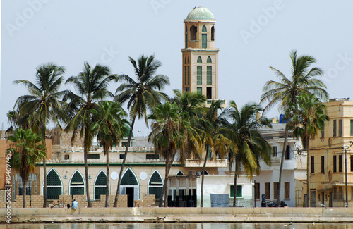 Saint Louis , bâtiment et palmiers au bord du fleuve Sénégal