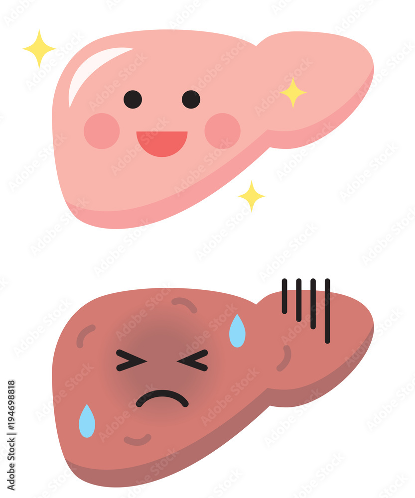 健康な肝臓と病気の肝臓 健康な肝臓と病気の肝臓
