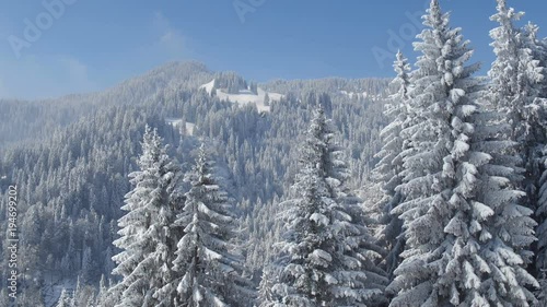 Aerial view of a fresh snowy landscape and snowy fir trees in Langis in the Alps of Switzerland photo