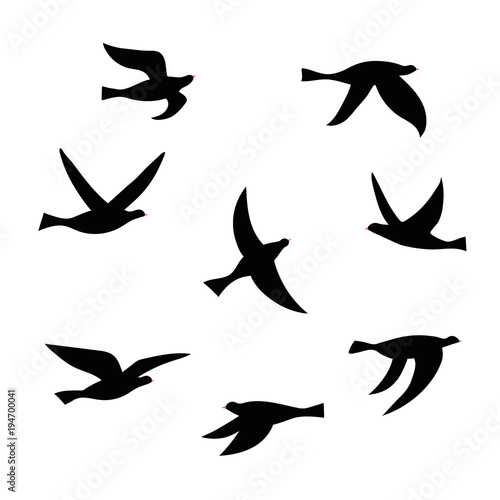 Vector silhouette of a flock of birds. © pikovit