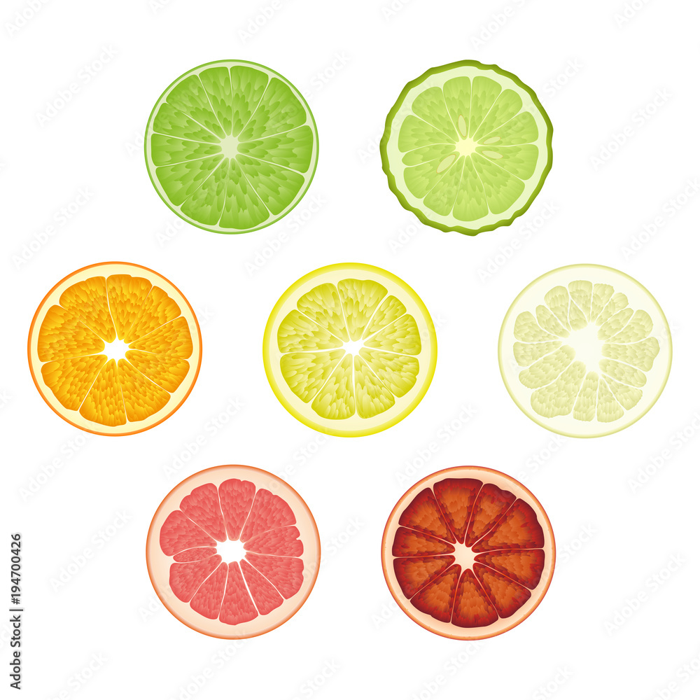 Set of isolated colored circle slices of bergamot, lime, lemon, orange, pomelo, bloody orange, pink grapefruit on white background. Realistic citrus fruit collection.