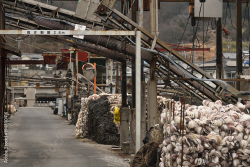 日本の岡山県瀬戸内市邑久町の牡蠣の養殖