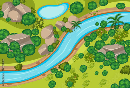 Aerial view of forest and river