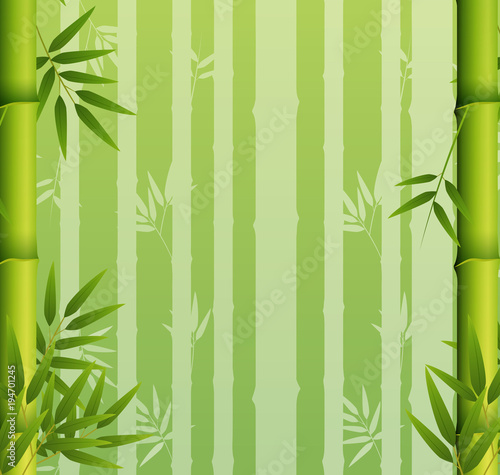 Fototapeta Naklejka Na Ścianę i Meble -  Background design with green bamboo