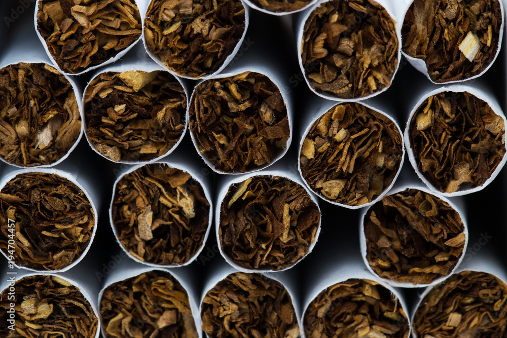 Texture of cigarettes. Close-up, tobacco Texture of cigarettes. Close-up, tobacco