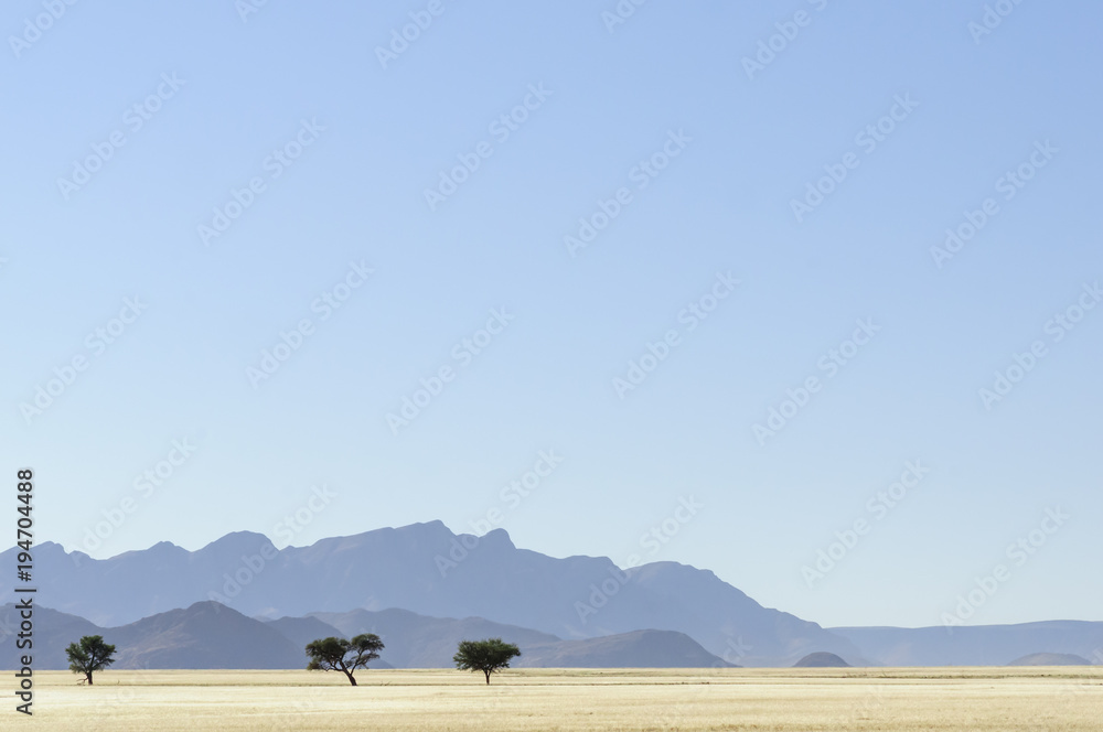 Obraz premium Landscape in the Namib Desert / Landscape in the morning in the Namib Desert, Namibia, Africa.