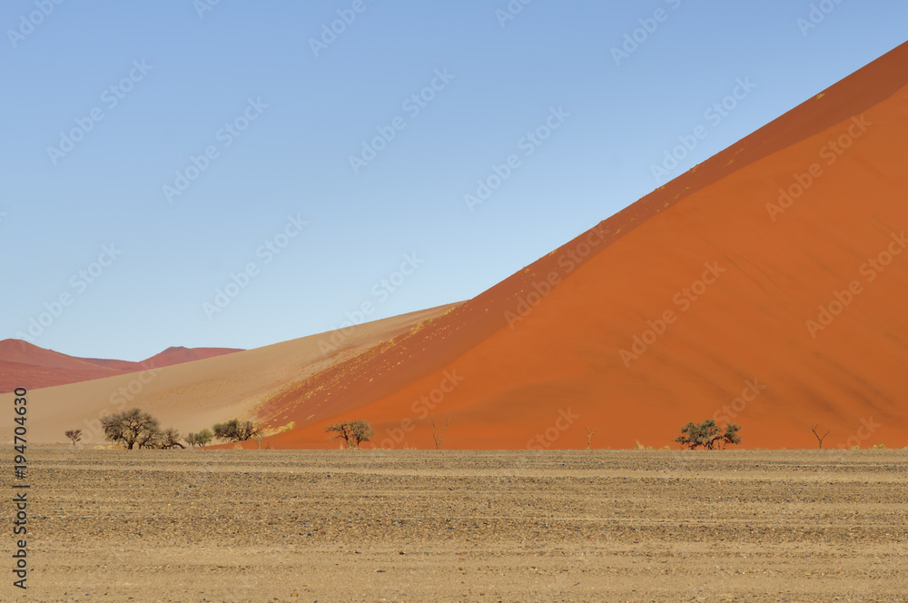 Dunes in the Namib Desert / Dunes in the Namib Desert to the horizon, Sossusvlei, Namibia, Africa.