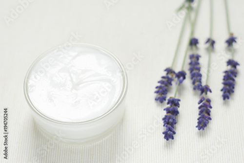 Cream, lavender flowers