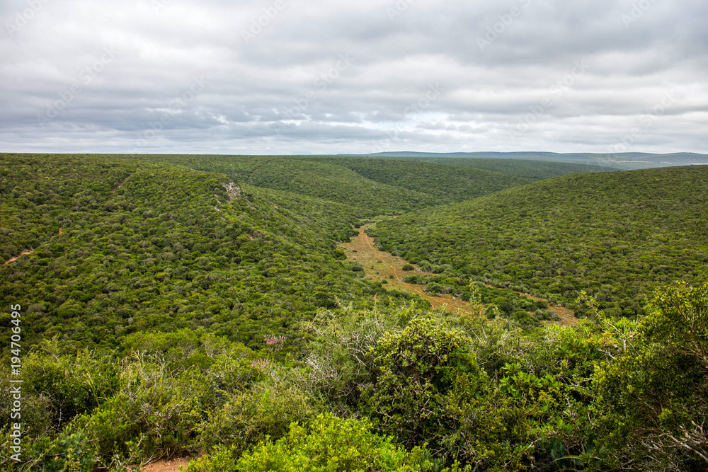 Addo Elephant Park Eastern Cape South Africa