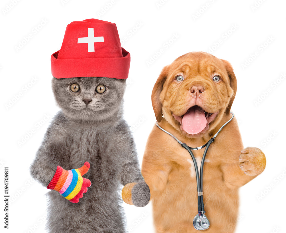 Puppy with stethoscope on their neck and cat in medical hat showing