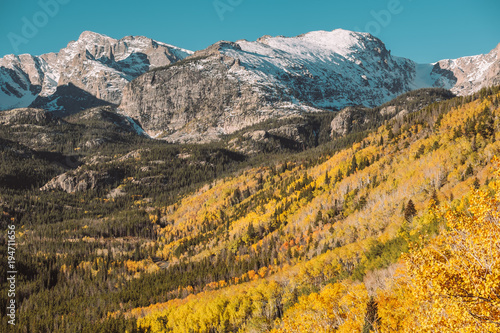 Aspen grove at autumn in Rocky Mountains © haveseen