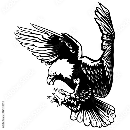 Eagle emblem isolated on white