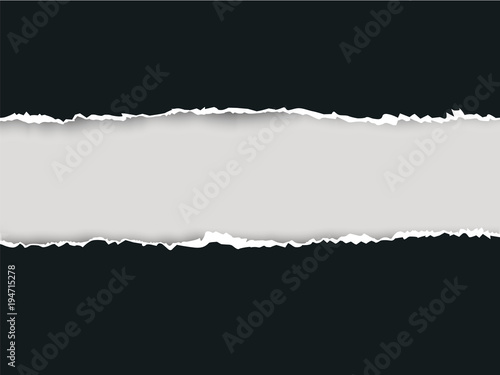Ripped paper long vector