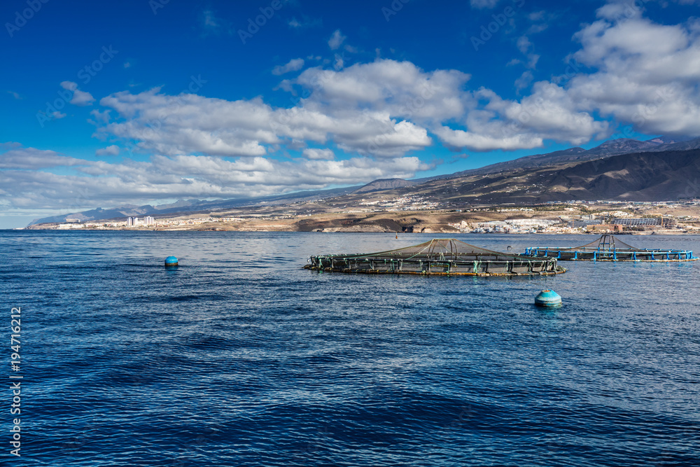 Offshore fish farms clustered around the west coast of Tenerife, Spain. Sea bass and common bream are cultured in these breeding cages. This form of aquaculture is common around the Canaries.