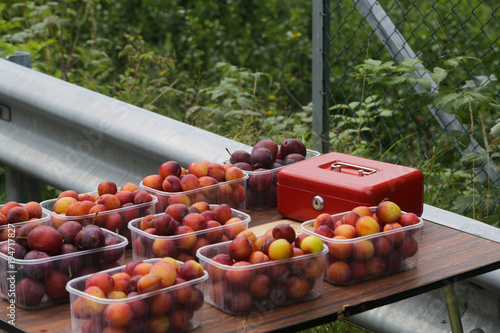 Table with Plums