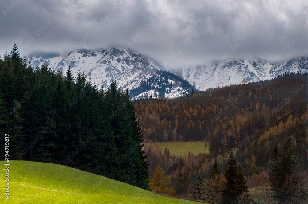 Dramatic mountain landscape with bright, green, sunlit meadow in the foreground and snow covered mountains and dark gray sky in the distance. In between is a forest in autumn colors