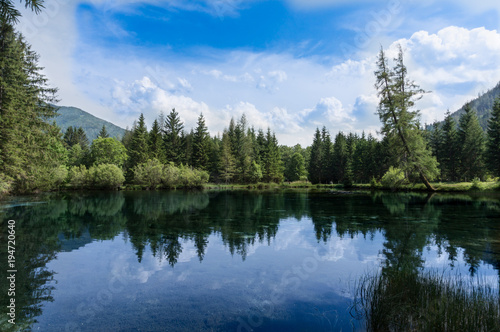 Beautiful panoramic landscape with vibrant, green forest reflecting in the cold, crystal clear waters of an alpine lake on a sunny summer day © Emil