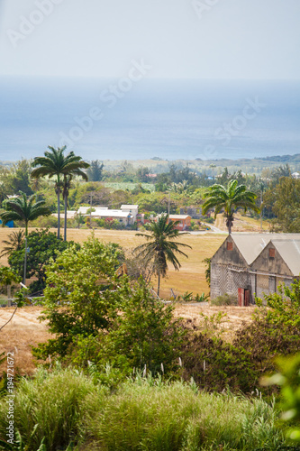 A View of Local Houses and Greenery, In Barbados