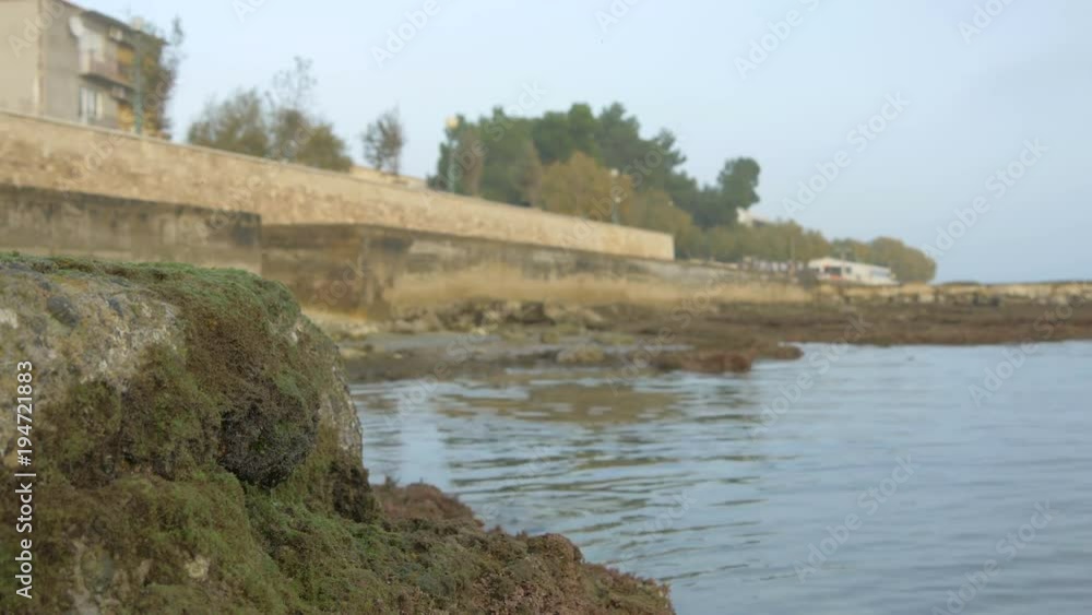Rock with moss by the sea Rock with moss by the sea