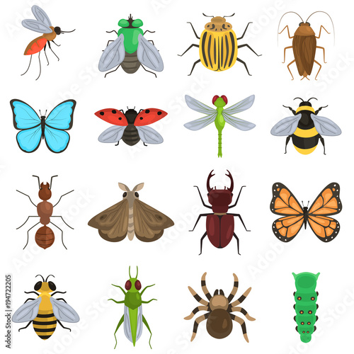 Set of different insects color flat icons © LynxVector