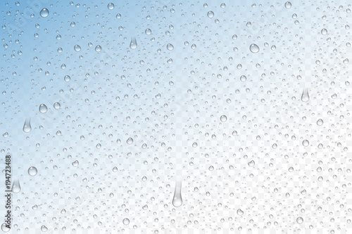 Vector realistic water drops condensed