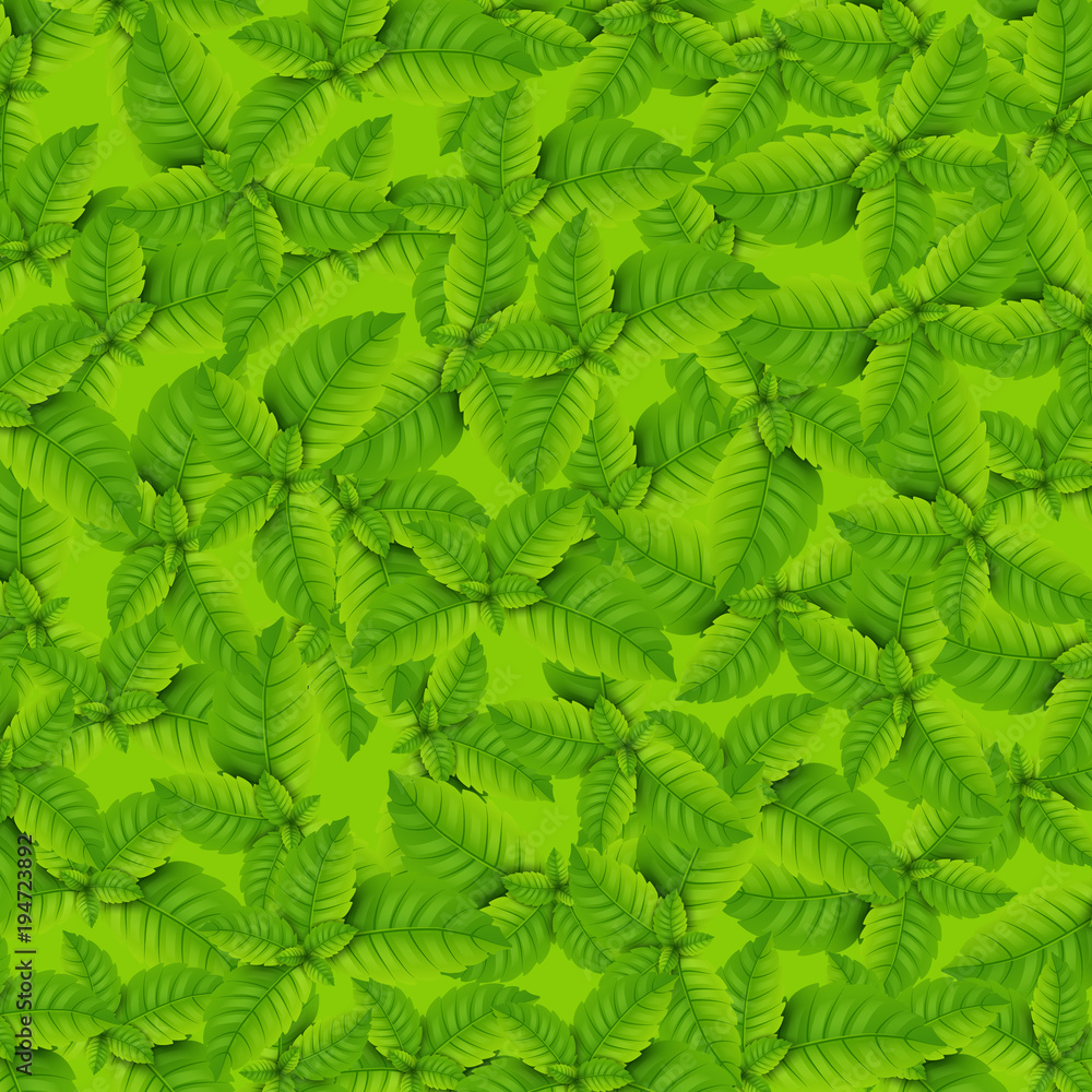 Mint pattern with different bright green mint leaves