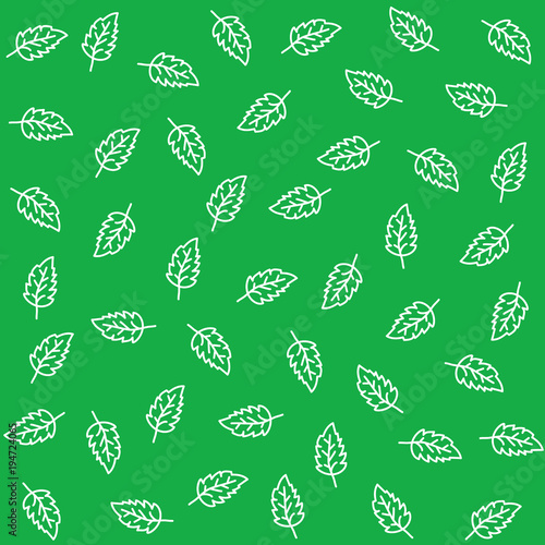 Mint organic seamless pattern. Vector cooking natural mint design texture
