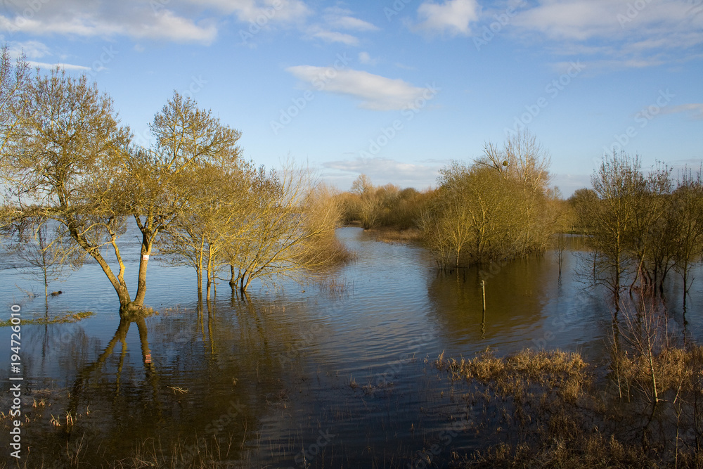 The banks of the Loire in flood in winter.