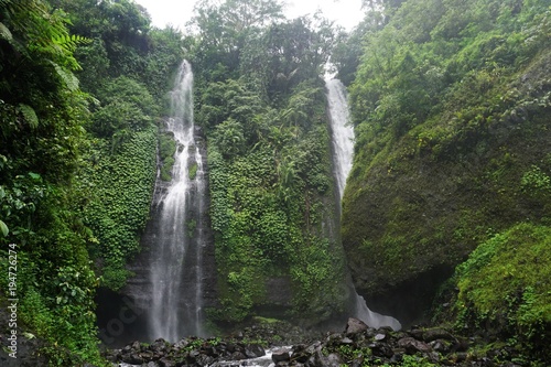 jungle hike in Bali Indonesia very green plants and waterfall
