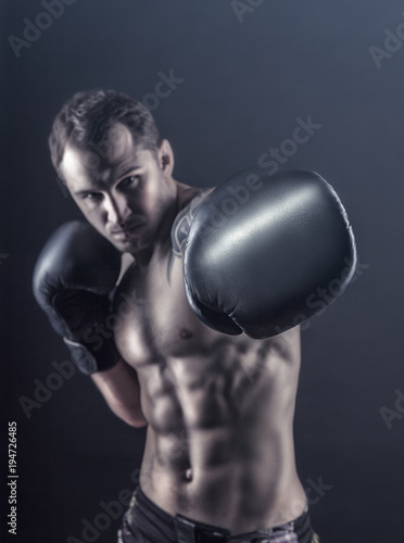 Boxer © Artem Furman