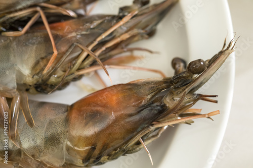 Close up shrimp raw. (selective focus)
