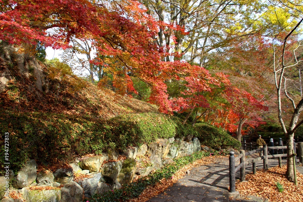 根来寺の紅葉 根来寺の紅葉