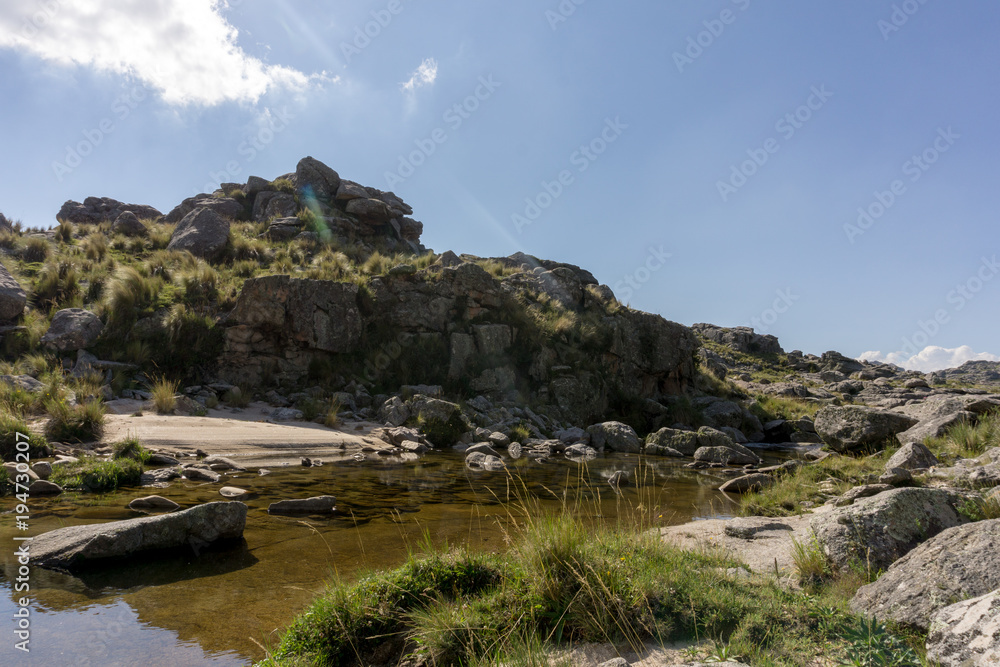 Naklejka premium Caribe serrano