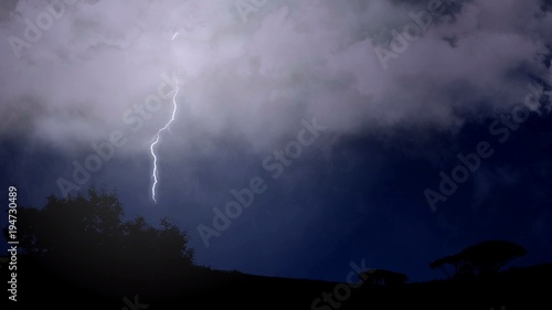Stroke of branched lightning shoots out of cloud and strikes the trees below