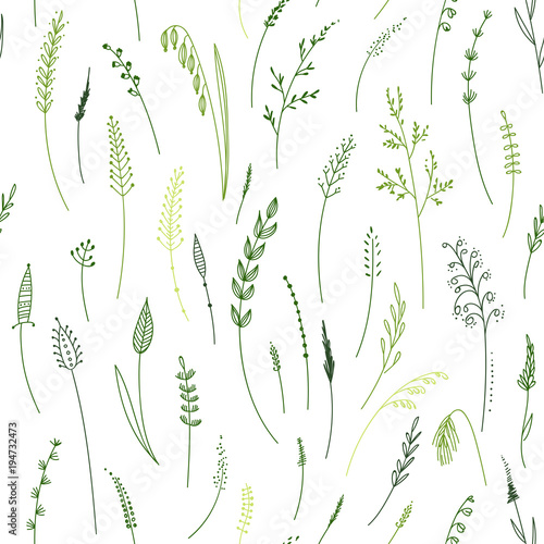 Vector seamless pattern of herbs, plants, flowers and leaves, cereals