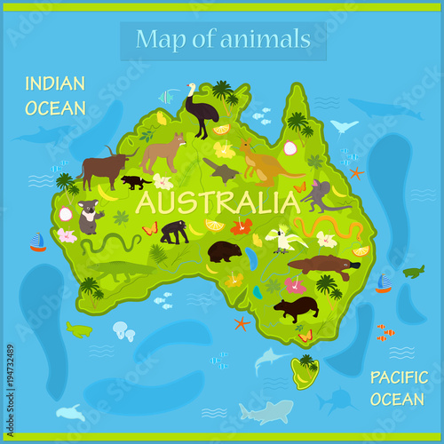 Vector map of animals in Australia photo