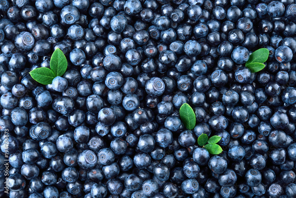Blueberry. Fresh organic berries macro. Blueberry background. Blueberry. Fresh organic berries macro. Blueberry background.