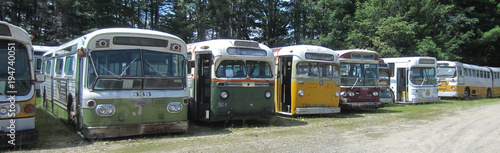 Old Bus Collection