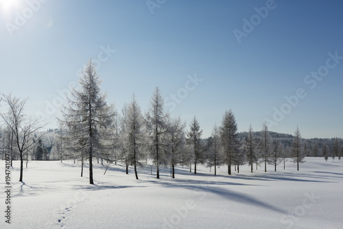 Finnish winter wallpaper. Winter wonderland scenery on a sunny day. © Jne Valokuvaus