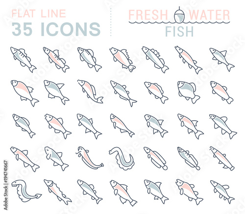 Set Vector Line Icons of Freshwater Fish