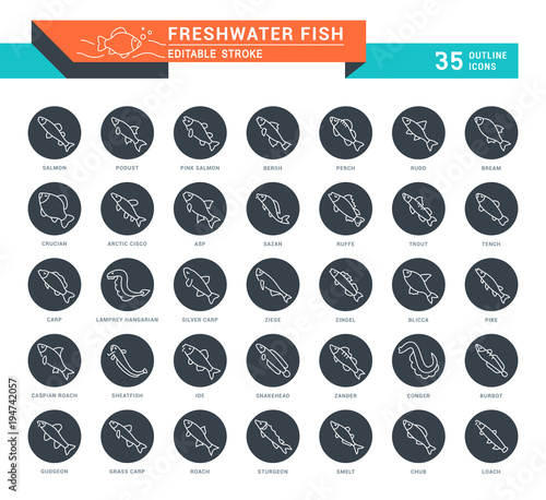 Set Vector Line Icons of Freshwater Fish.
