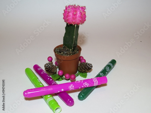 Cactus Gymnocalycium of Mihanovic and colored markers on white background. photo