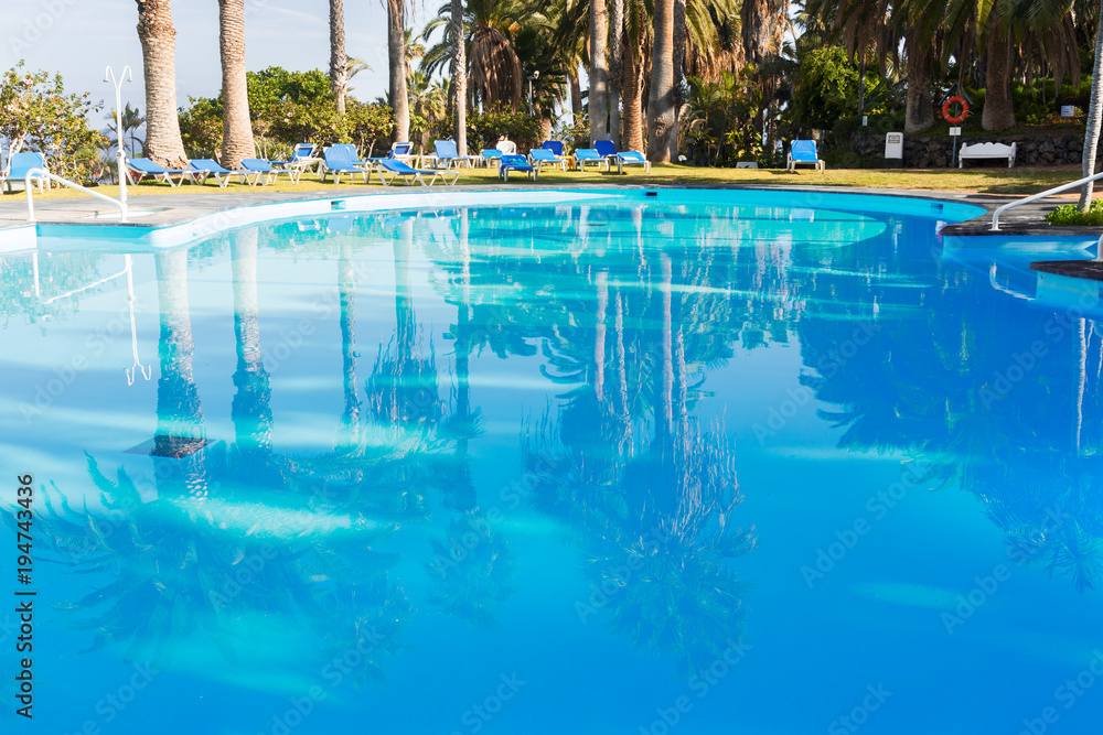 pool with reflections of palm trees