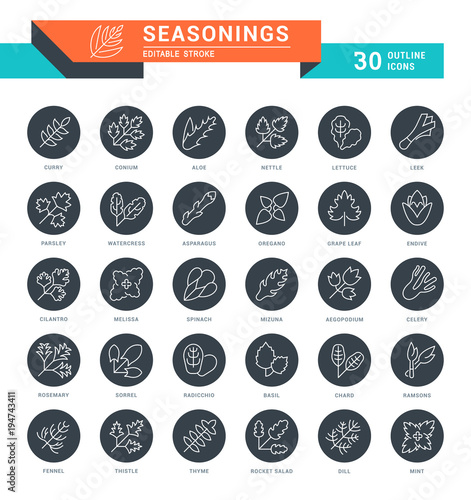 Set Vector Line Icons of Seasonings