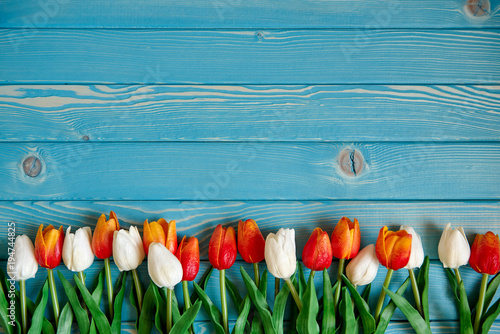 Тюльпаны, выложенные в ряд, на голубом деревянном фоне