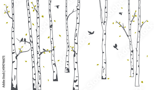 Obraz na płótnie Brzoza drzewo z jelenia i ptaki sylwetka tło