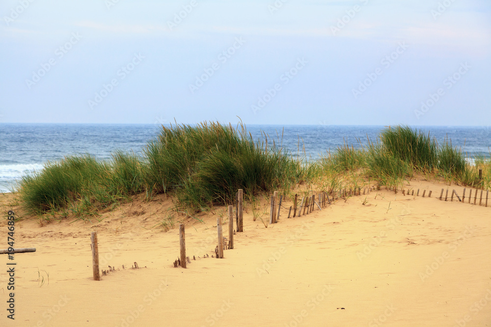 Sand dune
