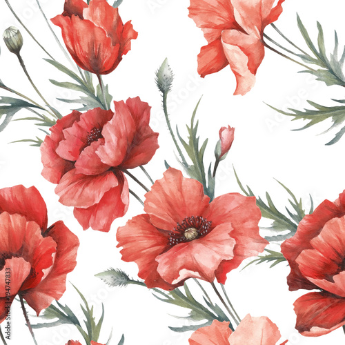 Delicate seamless pattern with poppies. Watercolor  illustration.