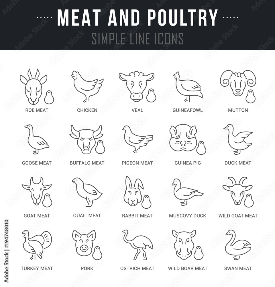 Set Vector Line Icons of Meat and Poultry.